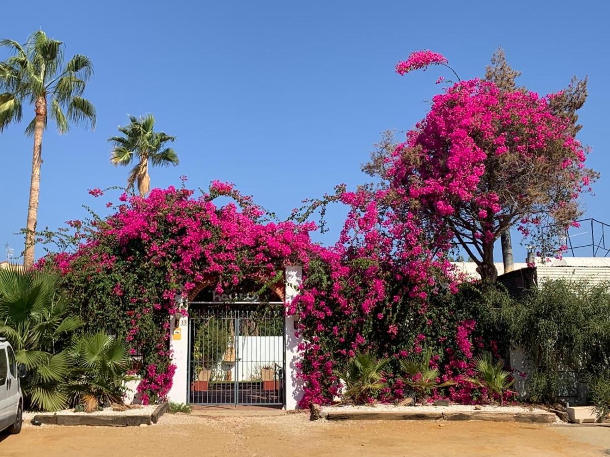 San Juan de los TerrerosCasa Tranquila别墅 外观 照片